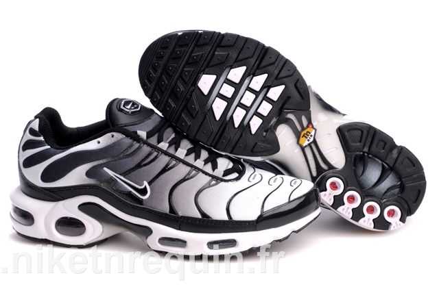 Nike Tn 2010 Meilleurs Populaires Grise